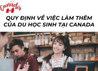 QUY ĐỊNH VỀ SỐ GIỜ LÀM THÊM CỦA DU HỌC SINH CANADA