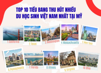 TOP 10 TIỂU BANG THU HÚT NHIỀU DU HỌC SINH VIỆT NAM NHẤT TẠI MỸ