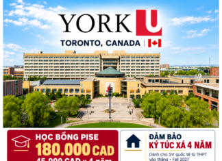 YORK UNIVERSITY (TORONTO, CANADA): LỘ TRÌNH ĐA NGÀNH, CHỖ Ở ĐẢM BẢO VÀ CƠ HỘI HỌC BỔNG CHO HỌC SINH VIỆT NAM NHẬP HỌC FALL 2027